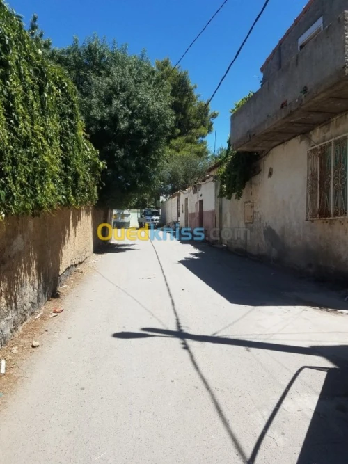 Vente bien immobilier Setif Bougaa