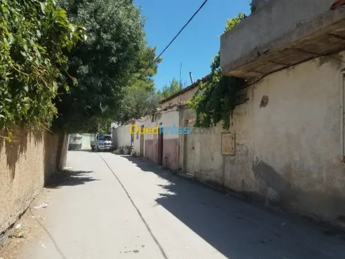 Vente bien immobilier Setif Bougaa