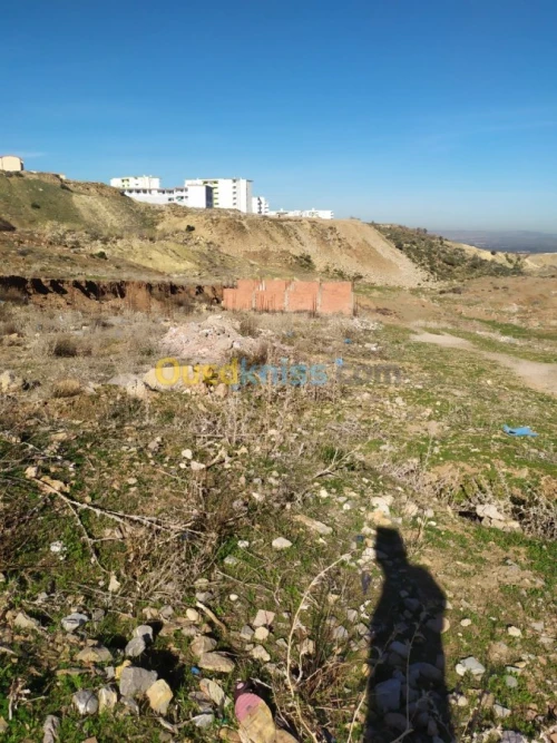 Vente Terrain Tlemcen Tlemcen