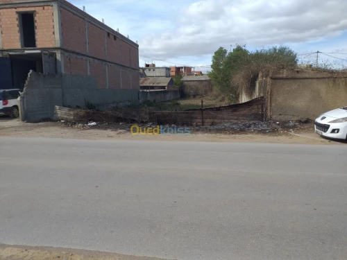 Location Terrain Alger Saoula