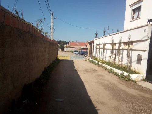 Vente Terrain Alger Ouled fayet