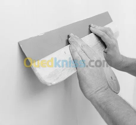 MONOCOUCHE ET PLATRE PROJETE