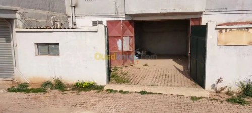 Location Local Blida Beni tamou