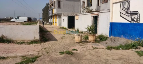 Location Local Blida Beni tamou
