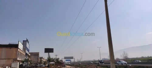 Location Local Blida Beni tamou