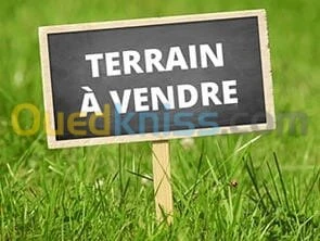 Vente Terrain Tlemcen Tlemcen