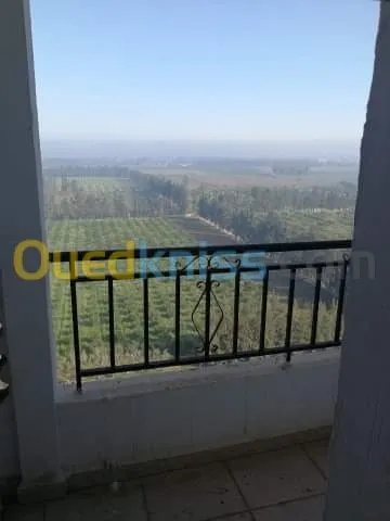 Vente Appartement F4 Blida Bouinan