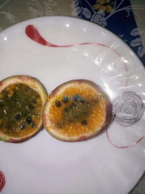 Arbres  fruitiers metidja 