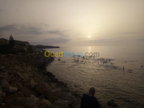 Location Niveau De Villa F1 Chlef Sidi abderrahmane