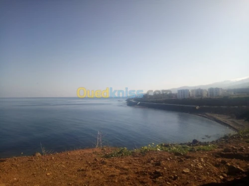 Location Niveau De Villa F1 Chlef Sidi abderrahmane