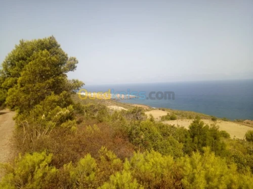 Location Niveau De Villa F1 Chlef Sidi abderrahmane