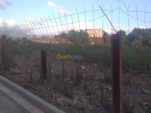 Vente Terrain Jijel Taher
