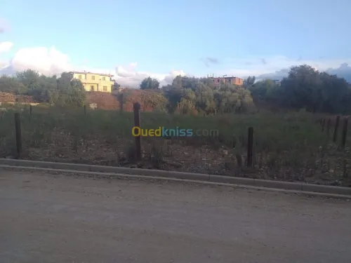 Vente Terrain Jijel Taher