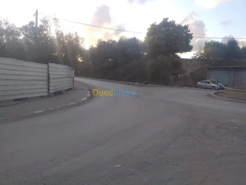Vente Terrain Jijel Taher