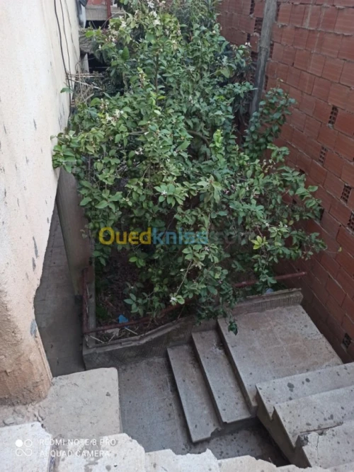 Location Appartement F2 Blida Blida
