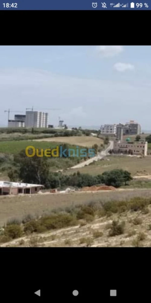 Vente Terrain Boumerdes Zemmouri
