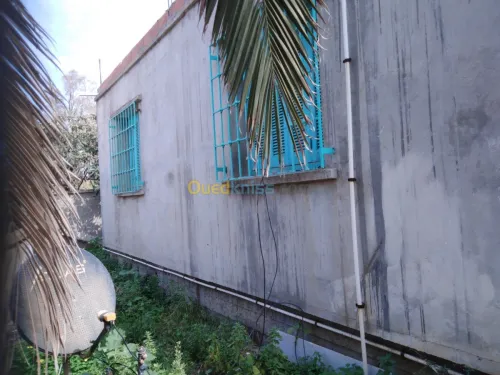 Vente Villa Boumerdes Djinet