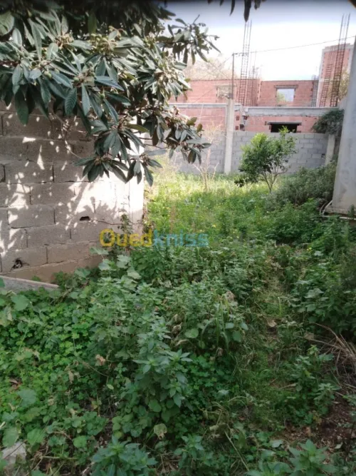 Vente Villa Boumerdes Djinet