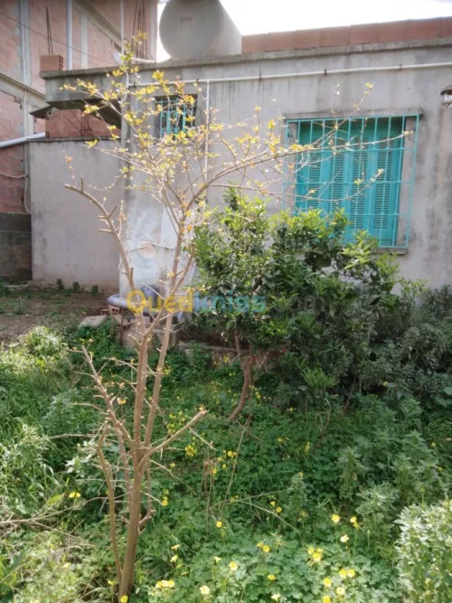 Vente Villa Boumerdes Djinet