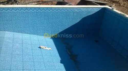 construction de piscine