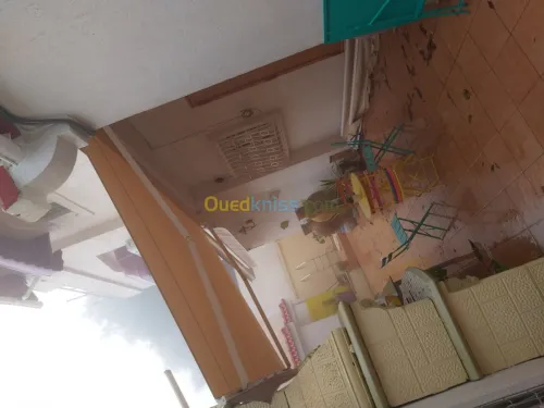 Vente et pose toutes types de tinda 