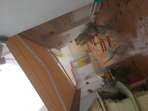 Vente et pose toutes types de tinda 