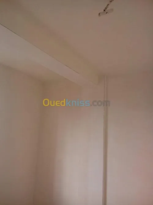Tous travaux intérieur et extérieur 