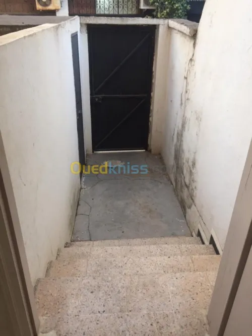 Location Local Alger Cheraga