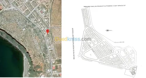 Vente Terrain Tlemcen Tlemcen