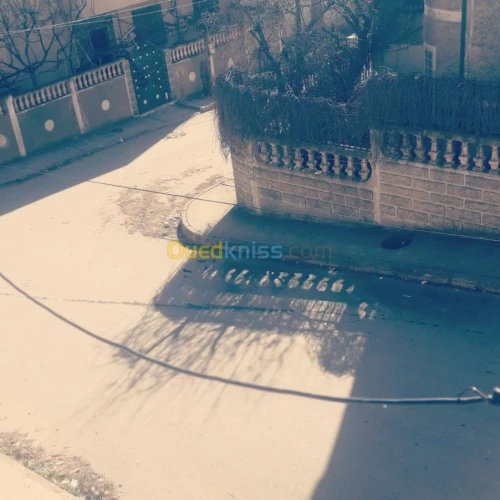 Vente Immeuble Guelma Ain makhlouf