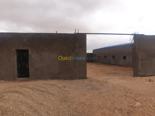 Vente Terrain Agricole Tiaret Ain bouchekif