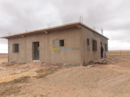 Vente Terrain Agricole Tiaret Ain bouchekif
