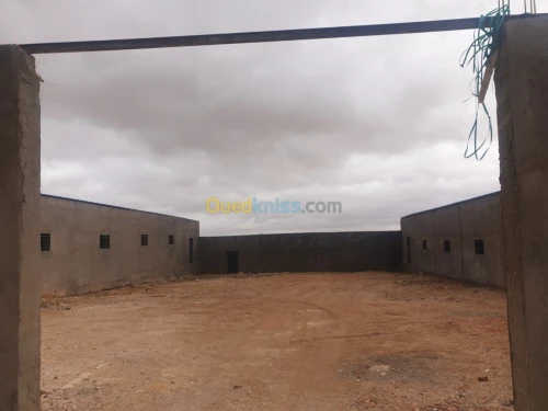 Vente Terrain Agricole Tiaret Ain bouchekif