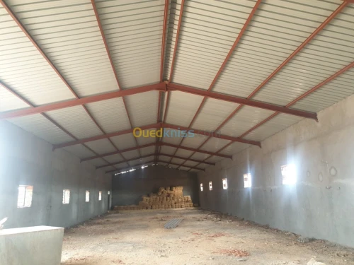 Vente Terrain Agricole Tiaret Ain bouchekif