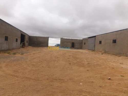 Vente Terrain Agricole Tiaret Ain bouchekif