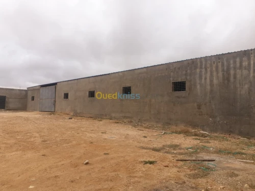 Vente Terrain Agricole Tiaret Ain bouchekif