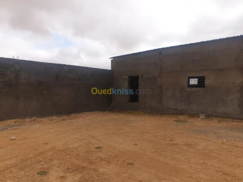 Vente Terrain Agricole Tiaret Ain bouchekif