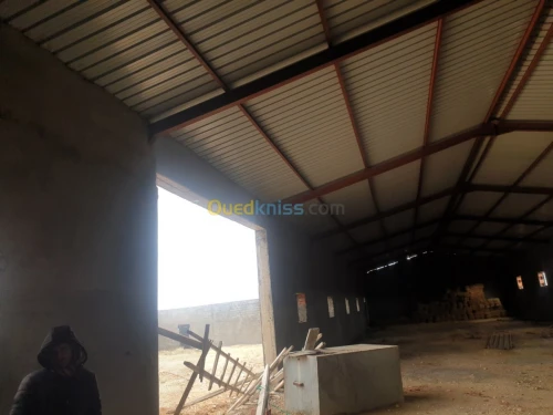 Vente Terrain Agricole Tiaret Ain bouchekif