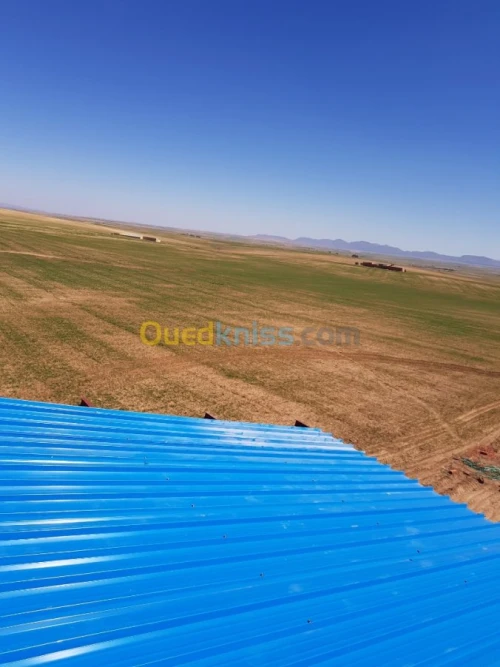 Vente Terrain Agricole Tiaret Ain bouchekif