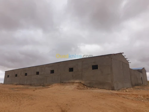 Vente Terrain Agricole Tiaret Ain bouchekif