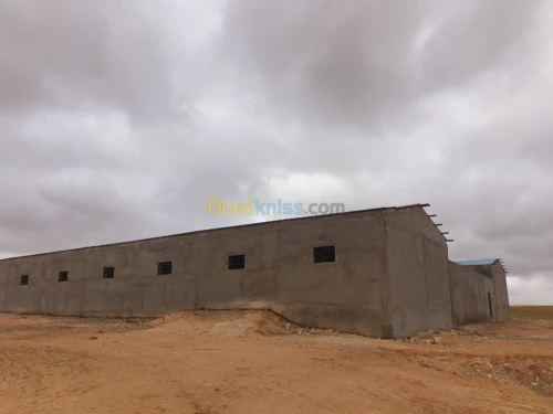 Vente Terrain Agricole Tiaret Ain bouchekif
