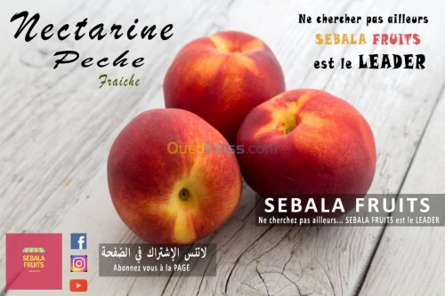 cerise خوخ نكترين سوريز fraiche