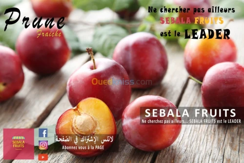 cerise خوخ نكترين سوريز fraiche