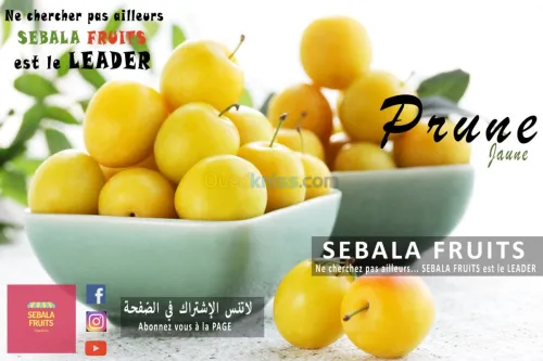 cerise خوخ نكترين سوريز fraiche