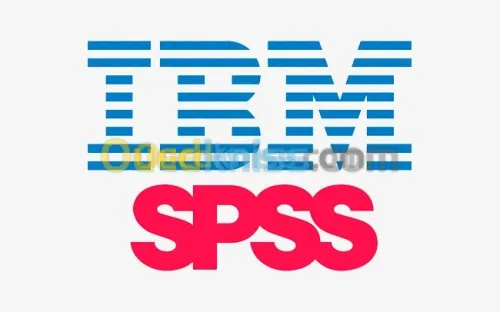 كتابة المذكرات وخدمات SPSS