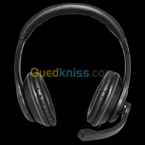 CASQUE MICRO/ MICROPHONE 
