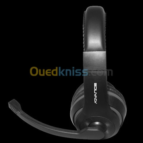 CASQUE MICRO/ MICROPHONE 
