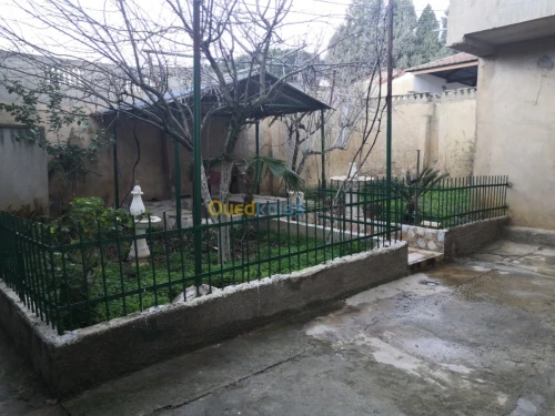 Vente Villa Medea Medea