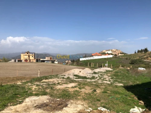 Vente Terrain Sétif Beni chebana
