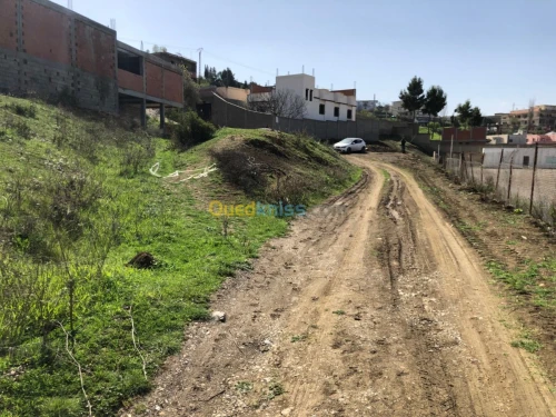 Vente Terrain Sétif Beni chebana